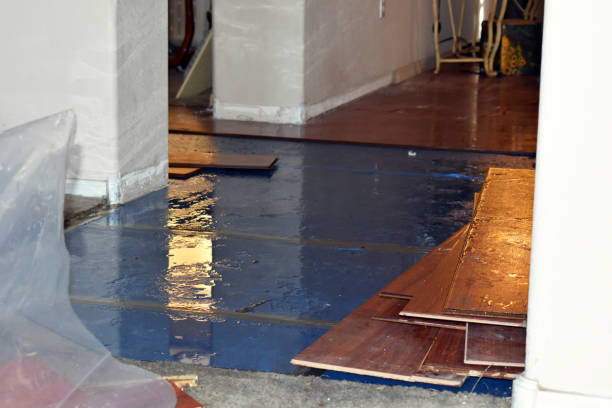 Professional Water Damage Restoration technician working in Freedom, ME